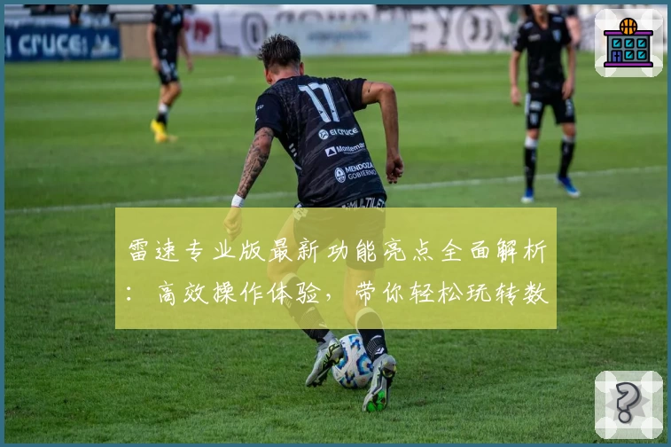雷速专业版最新功能亮点全面解析:高效操作体验,带你轻松玩转数据分析