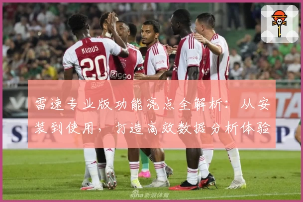 雷速专业版功能亮点全解析:从安装到使用,打造高效数据分析体验